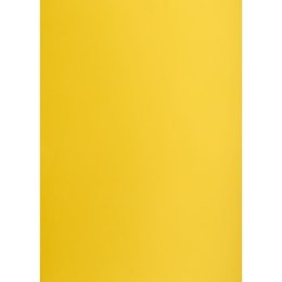 Brystol żółty ciemny B2 żółty Creatinio (400150326)