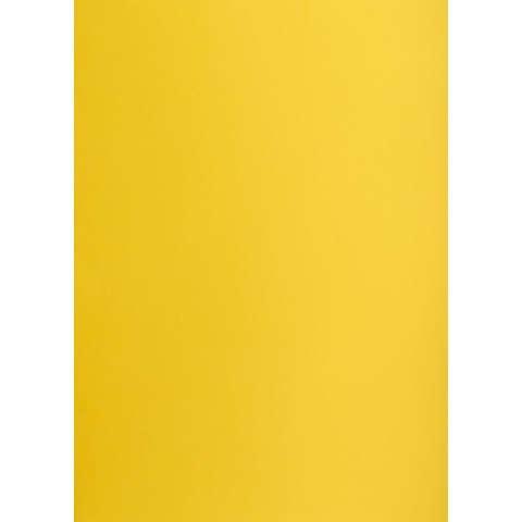 Brystol żółty ciemny B2 żółty Creatinio (400150326) Brystol żółty ciemny B2 żółty Creatinio (400150326)