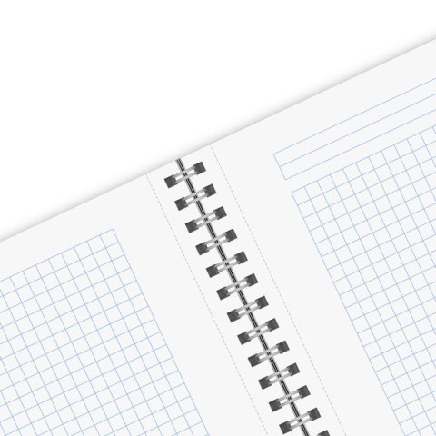 Kołozeszyt (kołonotatnik) Ocean A5 80k. 70g krata Herlitz (400198753)