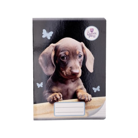 Zeszyt The Sweet Pets Beniamin (6006) Zeszyt The Sweet Pets Beniamin (6006)