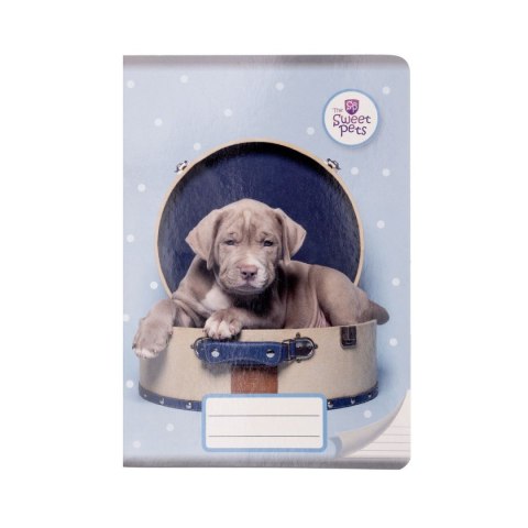 Zeszyt The Sweet Pets Beniamin (6006) Zeszyt The Sweet Pets Beniamin (6006)