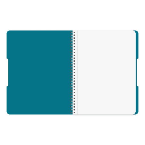 Kołobrulion ECO COLORS 9501445 B5 80k. kratka Herlitz (400198743)