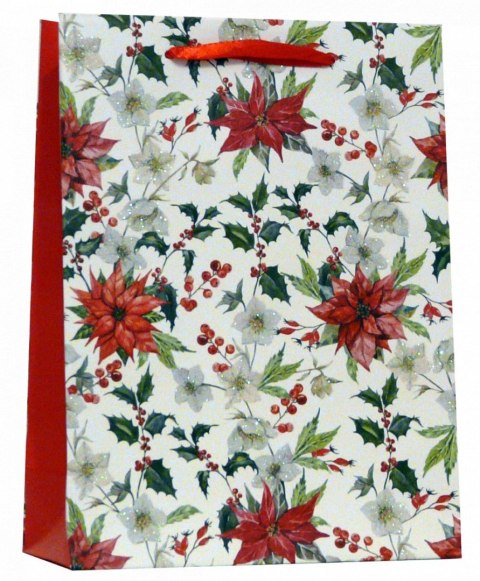 Torba prezentowa BN A5 Ju Piter (A5 BR 1257C)