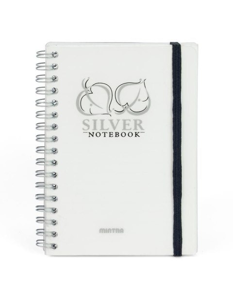 Kołozeszyt (kołonotatnik) Golden&Silver A6 80k. 80g linia Mintra (92652)