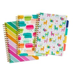 Kołozeszyt (kołonotatnik) Project Book Colour Wash linia Pukka (9032)