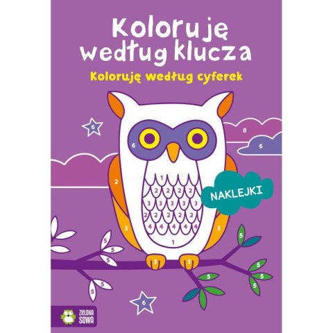 Książeczka edukacyjna Koloruję według klucza. Koloruję według cyferek Zielona Sowa Książeczka edukacyjna Koloruję według klucza. Koloruję według cyferek Zielona Sowa
