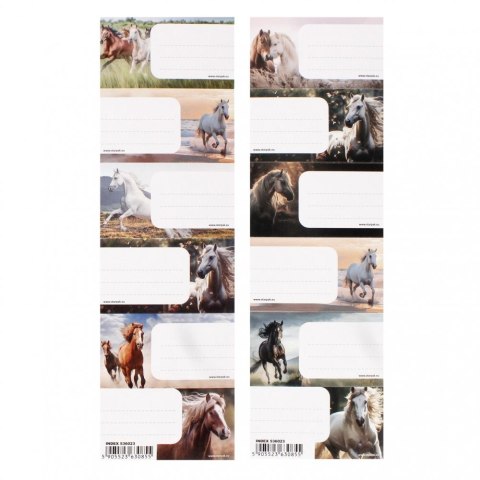 Naklejka na zeszyt Horse Starpak (536023) Naklejka na zeszyt Horse Starpak (536023)