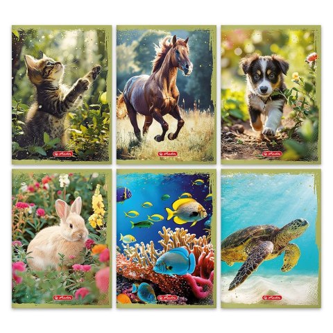 Zeszyt Animals A5 16k. 70g krata kolorowa Herlitz (400196855) Zeszyt Animals A5 16k. 70g krata kolorowa Herlitz (400196855)