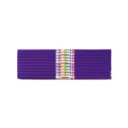 Bibuła Happy Color (HA 3640 5020-63)