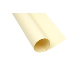 Brystol KREMOWY B2 kremowy 225g 25k Creatinio (400150321)