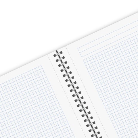 Kołozeszyt (kołonotatnik) Ocean A4 80k. 70g krata Herlitz (400198747)