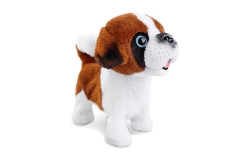 Pluszak interaktywny Piesek chodzący na smyczy Artyk (169144)