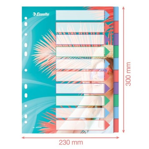 Przekładka czysta Colour Breeze A4 mix 10k Esselte (628500) Przekładka czysta Colour Breeze A4 mix 10k Esselte (628500)