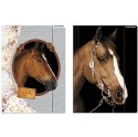 Teczka kartonowa na gumkę horses A4 mix Starpak (298952) Teczka kartonowa na gumkę horses A4 mix Starpak (298952)