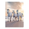Teczka kartonowa na gumkę horses A4 mix Starpak (298952) Teczka kartonowa na gumkę horses A4 mix Starpak (298952)