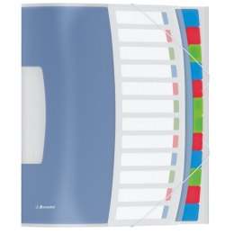 Teczka z przegródkami Vivida A4 kolor: mix 12 przegródek [mm:] 266x320 Esselte (624030)