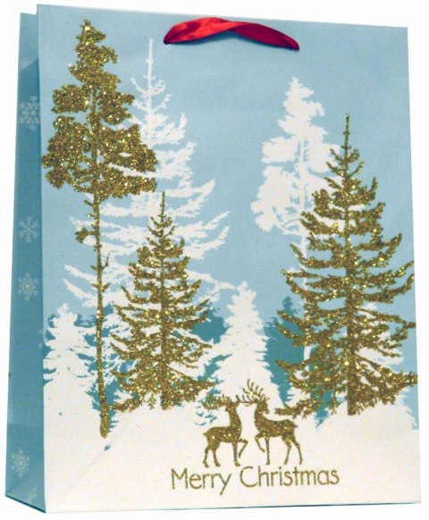 Torba prezentowa BN A4 Ju Piter (A4 BR 1257B)