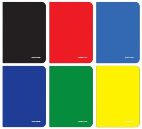 Zeszyt PP A4 60k. 75g krata Narcissus