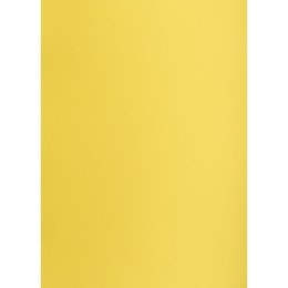 Brystol ŻÓŁTY B2 żółty 225g 25k Creatinio (400150334)