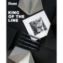 Cienkopis POINTLINER czarne mixmm 1kol. Pentel (XBLW355C)