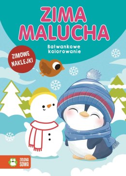 Książeczka edukacyjna Zima malucha. Bałwankowe kolorowanie Zielona Sowa