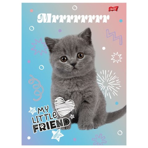 Zeszyt MY LITTLE FRIEND A4 32k. 70g krata Unipap Zeszyt MY LITTLE FRIEND A4 32k. 70g krata Unipap