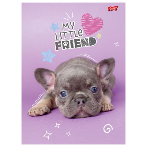 Zeszyt MY LITTLE FRIEND A4 32k. 70g krata Unipap Zeszyt MY LITTLE FRIEND A4 32k. 70g krata Unipap