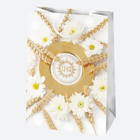 Torba prezentowa [mm:] 230x320x 110 Pol-mak