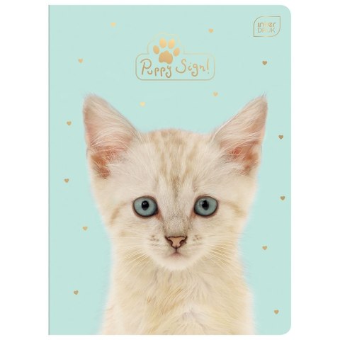 Zeszyt PUPPY SIGN A5 32k. 70g krata Interdruk (ZE32#PUP) Zeszyt PUPPY SIGN A5 32k. 70g krata Interdruk (ZE32#PUP)