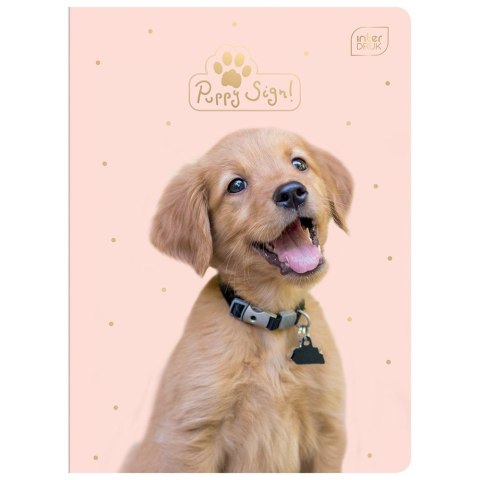 Zeszyt PUPPY SIGN A5 32k. 70g krata Interdruk (ZE32#PUP) Zeszyt PUPPY SIGN A5 32k. 70g krata Interdruk (ZE32#PUP)