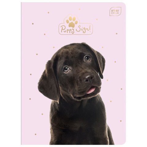 Zeszyt PUPPY SIGN A5 32k. 70g krata Interdruk (ZE32#PUP) Zeszyt PUPPY SIGN A5 32k. 70g krata Interdruk (ZE32#PUP)