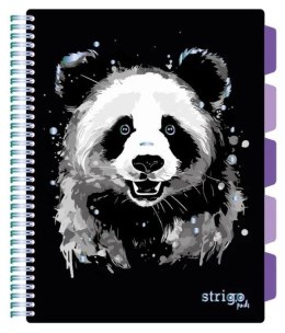 Kołozeszyt (kołonotatnik) A4 PANDA 100k. 80g krata Strigo (PADS021)