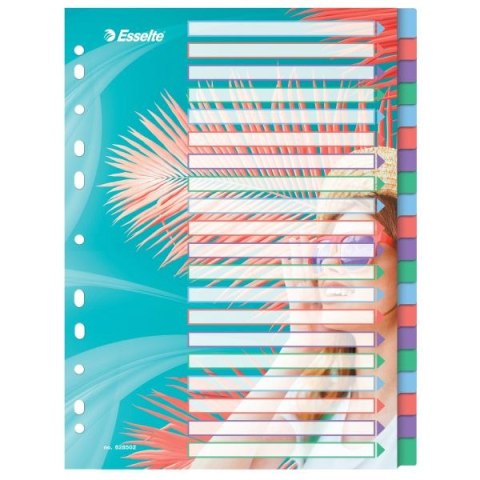 Przekładka czysta Colour Breeze A4 mix 20k Esselte (628502) Przekładka czysta Colour Breeze A4 mix 20k Esselte (628502)