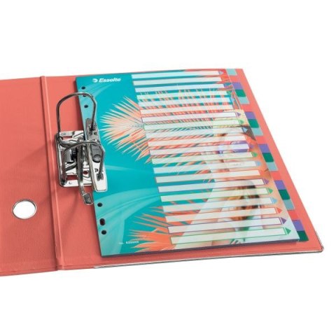 Przekładka czysta Colour Breeze A4 mix 20k Esselte (628502) Przekładka czysta Colour Breeze A4 mix 20k Esselte (628502)