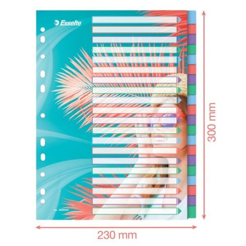 Przekładka czysta Colour Breeze A4 mix 20k Esselte (628502) Przekładka czysta Colour Breeze A4 mix 20k Esselte (628502)