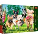 Puzzle Premium Plus Nadchodzą kłopoty 1000 el. Trefl (10800)
