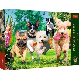 Puzzle Premium Plus Nadchodzą kłopoty 1000 el. Trefl (10800)