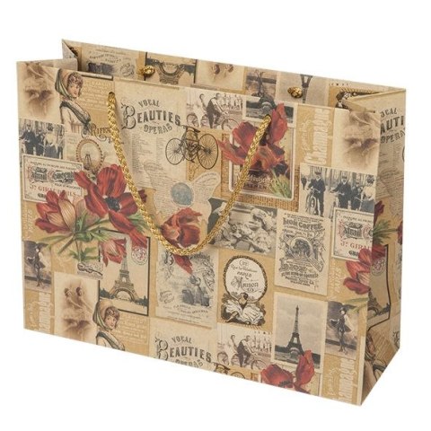 Torba prezentowa [mm:] 300x230x 100 Pol-mak (T6EKO_OG)