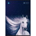 Zeszyt A5 60k. linia Astrapap (102023011) Zeszyt A5 60k. linia Astrapap (102023011)