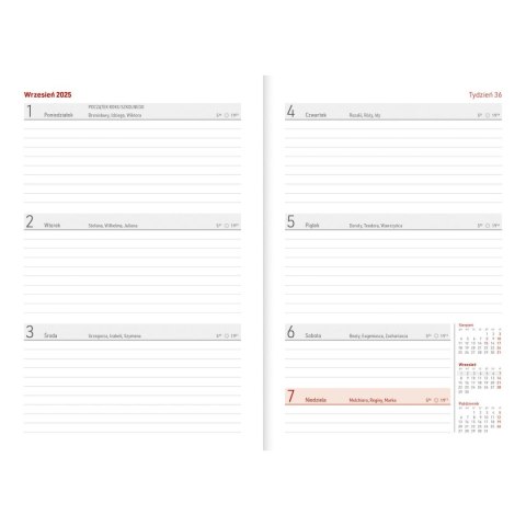 Kalendarz nauczyciela książkowy (terminarz) PCV ROWER bezbarwny A5 Wydawnictwo Wokół Nas (A5TN078B)