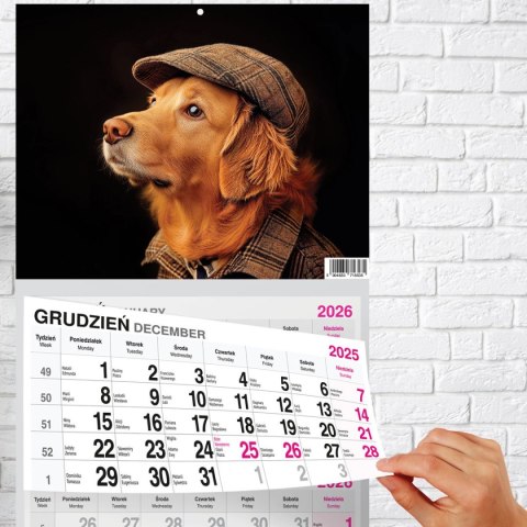 Kalendarz ścienny PREMIUM trójdzielny A4 Press (PIES)