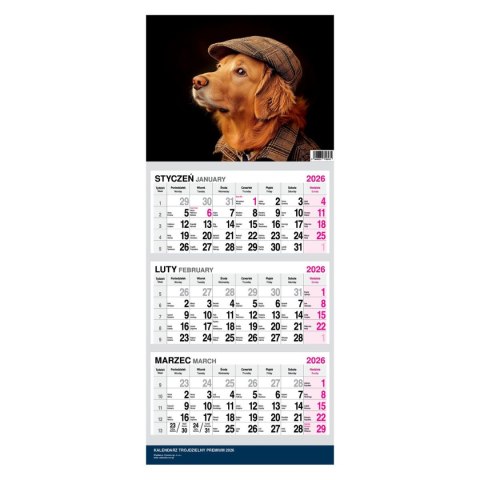 Kalendarz ścienny PREMIUM trójdzielny A4 Press (PIES)