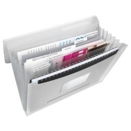 Teczka z przegródkami Vivida A4 kolor: biały 6 przegródek [mm:] 330x260 Esselte (624018)
