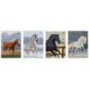 Zeszyt WILD HORSES A5 32k. 70g linia kolor Interdruk