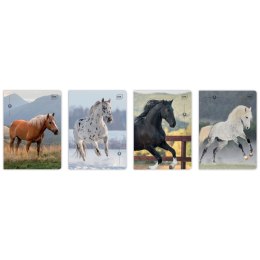 Zeszyt WILD HORSES A5 32k. 70g linia kolor Interdruk