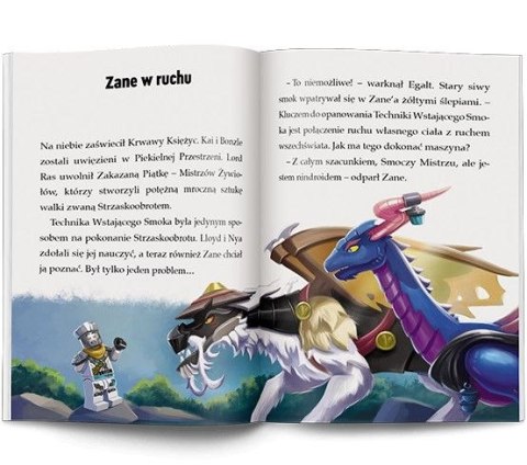 Książeczka edukacyjna LEGO® NINJAGO®. Moce i zdolności Ameet (LNR 6728) Książeczka edukacyjna LEGO® NINJAGO®. Moce i zdolności Ameet (LNR 6728)