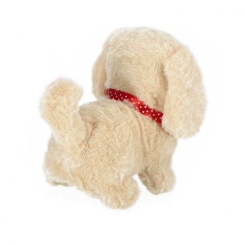 Zabawka interaktywna Mega Creative (545217) Zabawka interaktywna Mega Creative (545217)