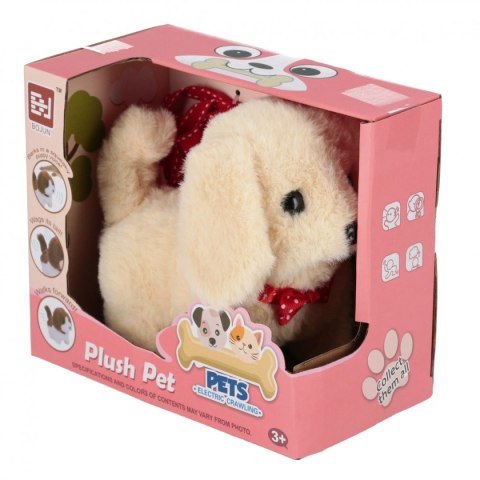 Zabawka interaktywna Mega Creative (545217) Zabawka interaktywna Mega Creative (545217)