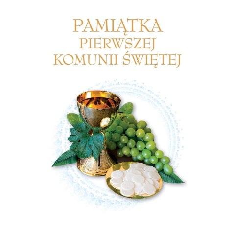 Książeczka edukacyjna Pamiątka Pierwszej Komunii Świętej. Zielona Sowa Książeczka edukacyjna Pamiątka Pierwszej Komunii Świętej. Zielona Sowa