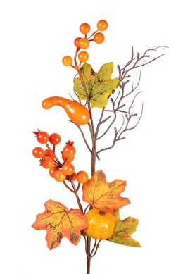 Kwiaty Gałązka ozdobna - małe dynie Arpex (VZ0042)